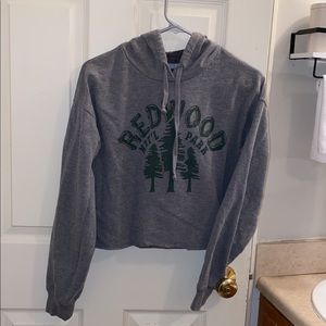 American Eagle Redwood Hoodie